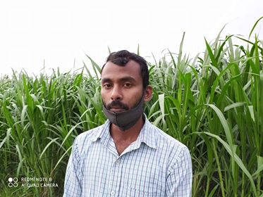 बैदेशिक रोजगारीबाट फर्के फुलदेव गाउँमै बाख्रा र ब्यबसाय घास खेति सुरु