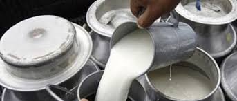 दूधको मूल्य प्रतिलिटर ५ देखि १० बढाउने सरकारको तयारी