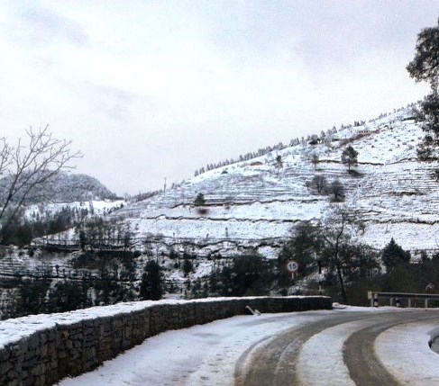 हिमाली क्षेत्रमा प्लास्टिकजन्य प्रदूषण बढेकामा चिन्ता व्यक्त