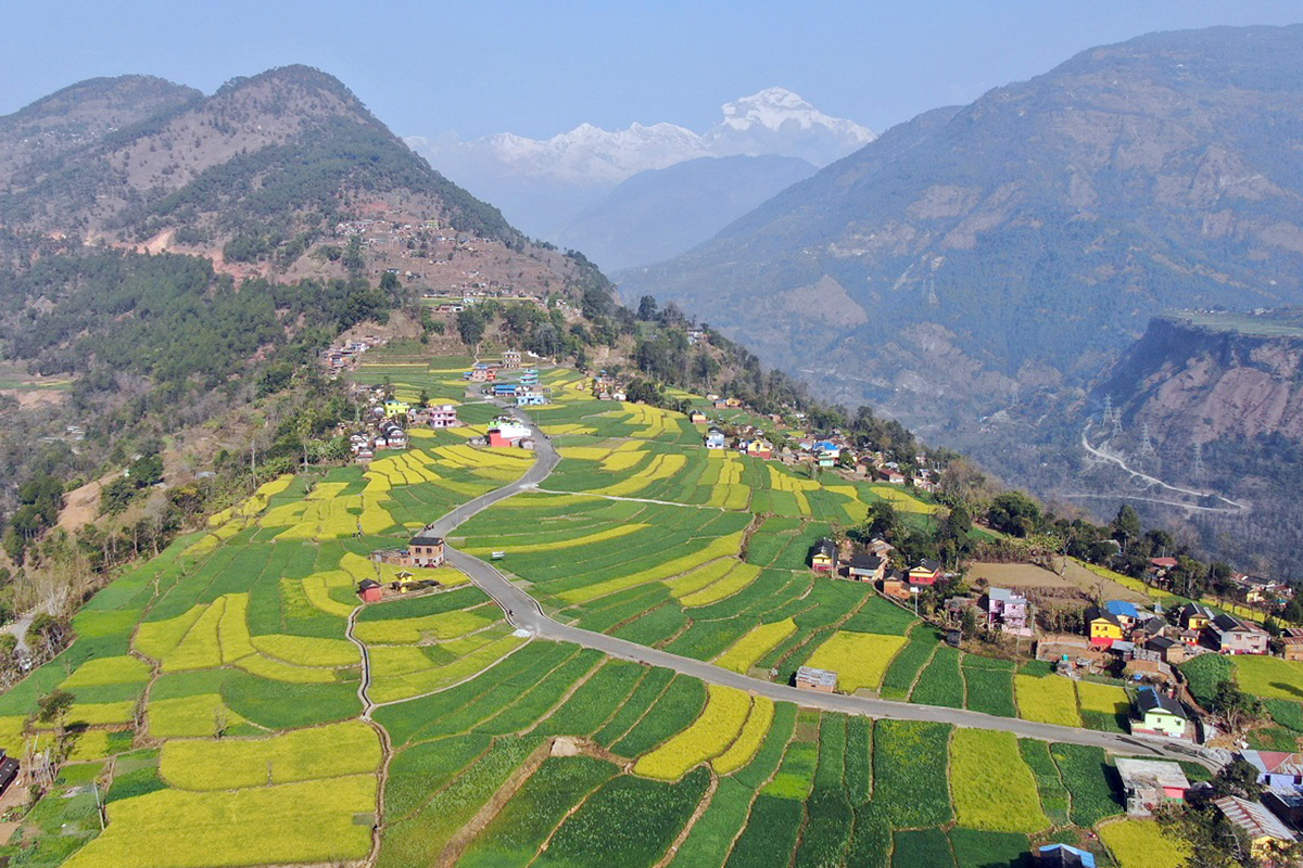 मनमोहक तोरी बारीमा भिड बढेपछि प्रहरी परिचालन