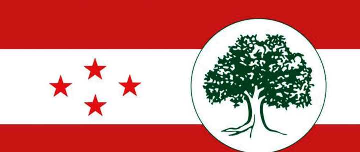 गुल्मीदरवार गाउँपालिका अध्यक्ष कांग्रेसका थापा निर्वाचित