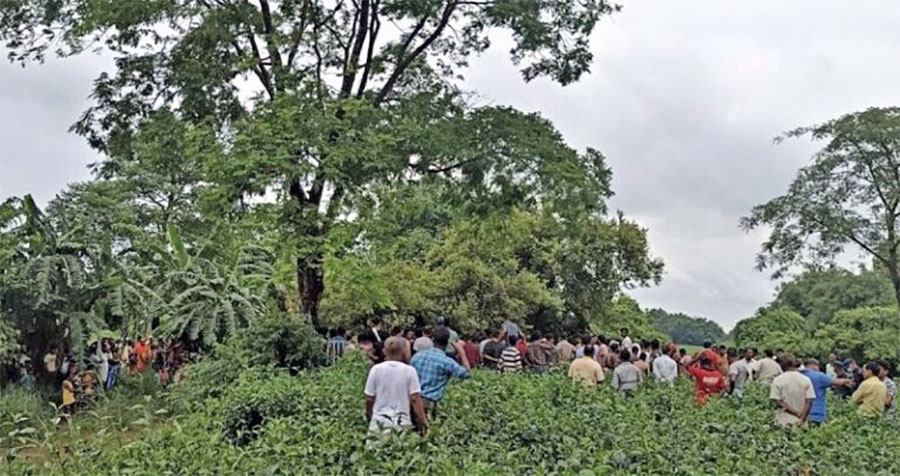 झापाको चिया बगानमा तीन किशोरी मृत अवस्थामा भेटिए