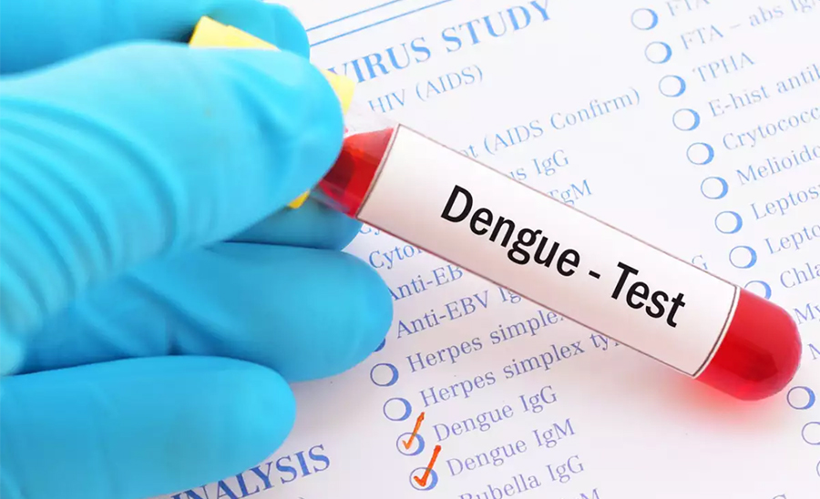 सातामा दुईदेखि तीन सयमा अझै डेंगु संक्रमण :हालसम्म ५२ हजार पाँच सय ५७ जनामा संक्रमण, ६० जनाको मृत्यु